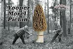 Morel Pickin'